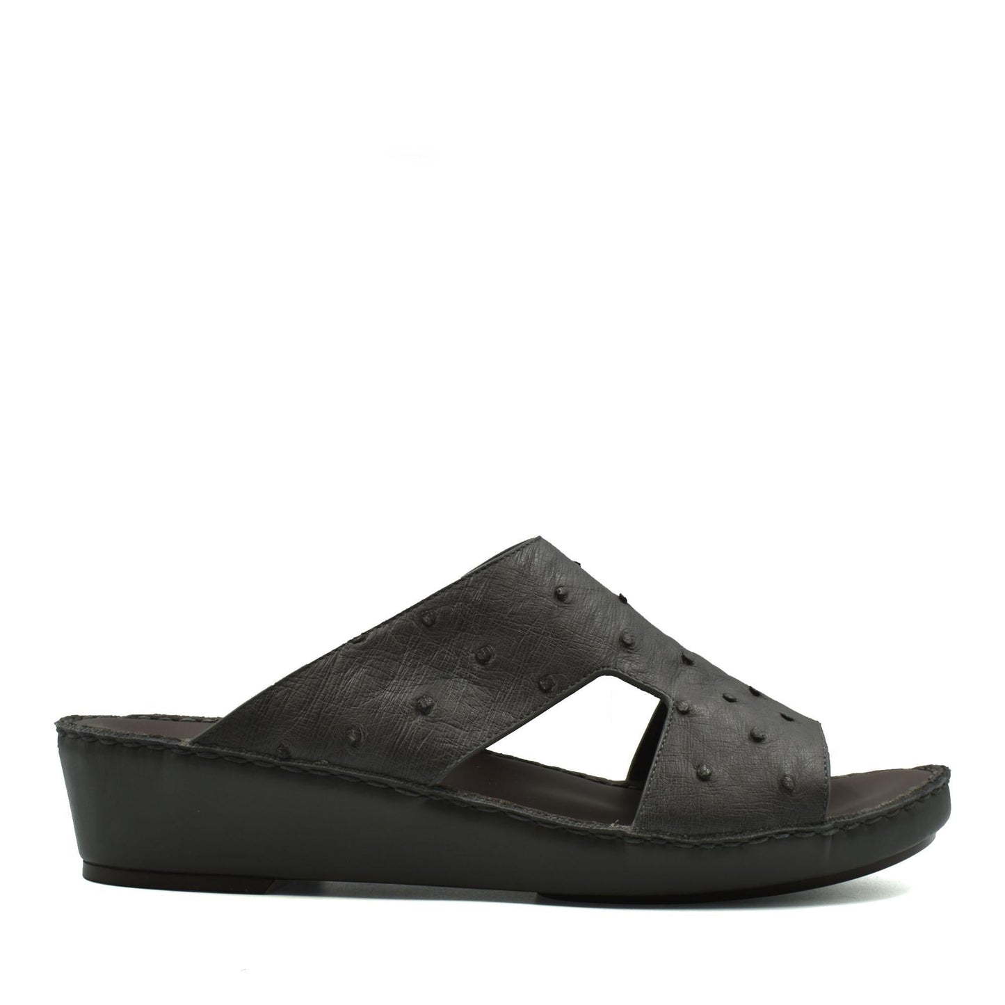 Arca Ostrich Naturale