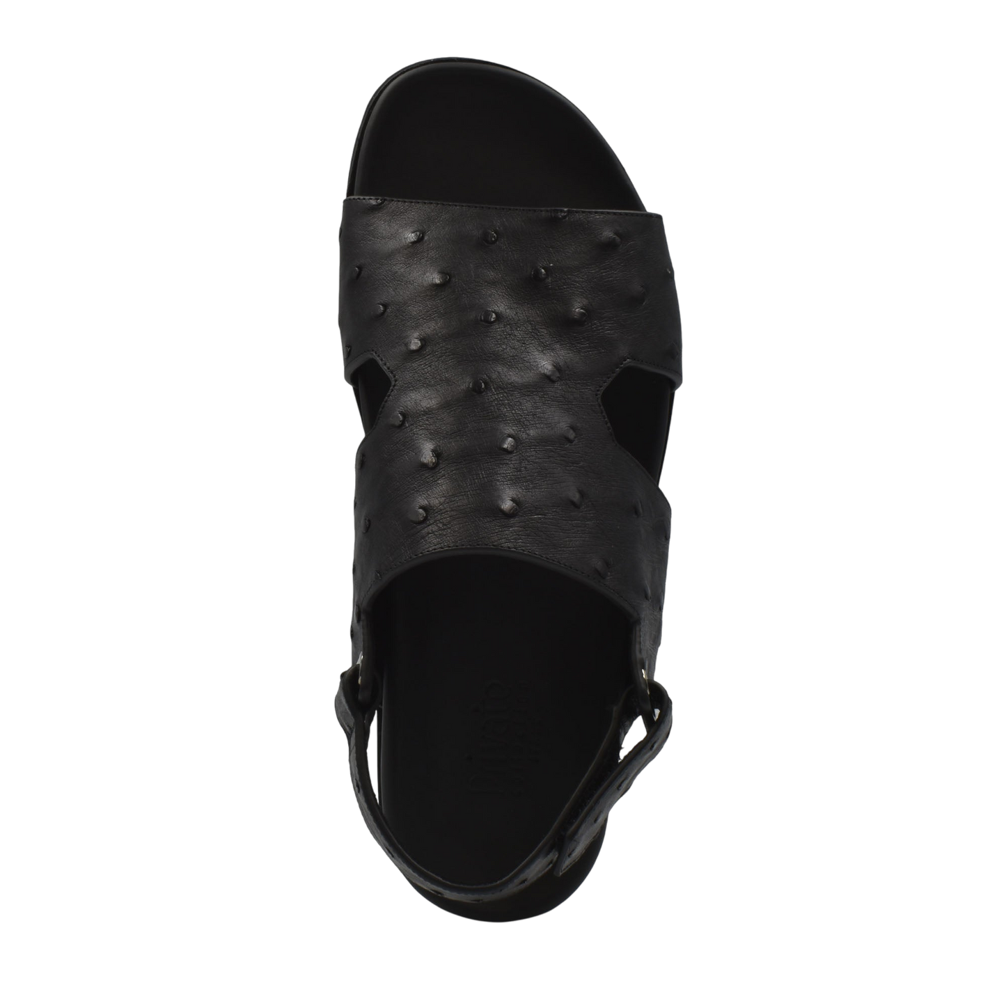 Amorti Sangle Ostrich