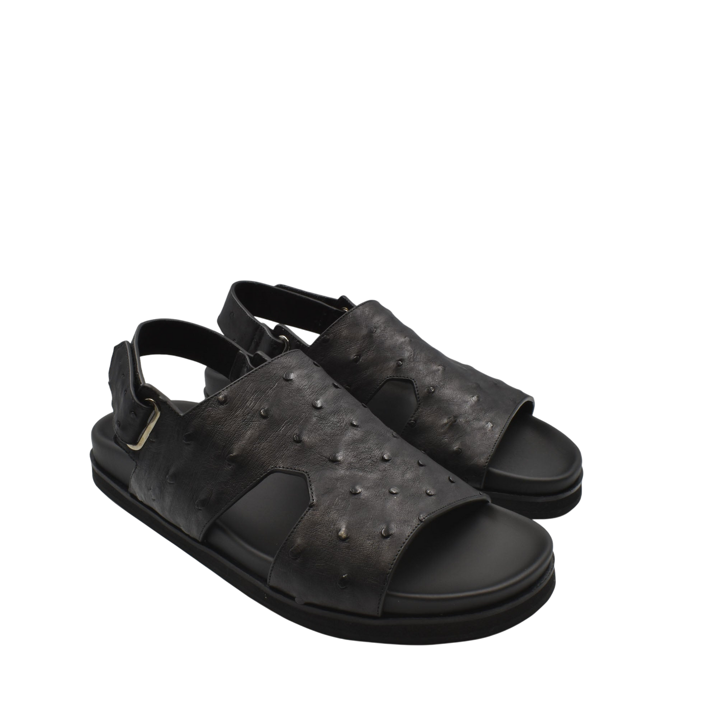 Amorti Sangle Ostrich