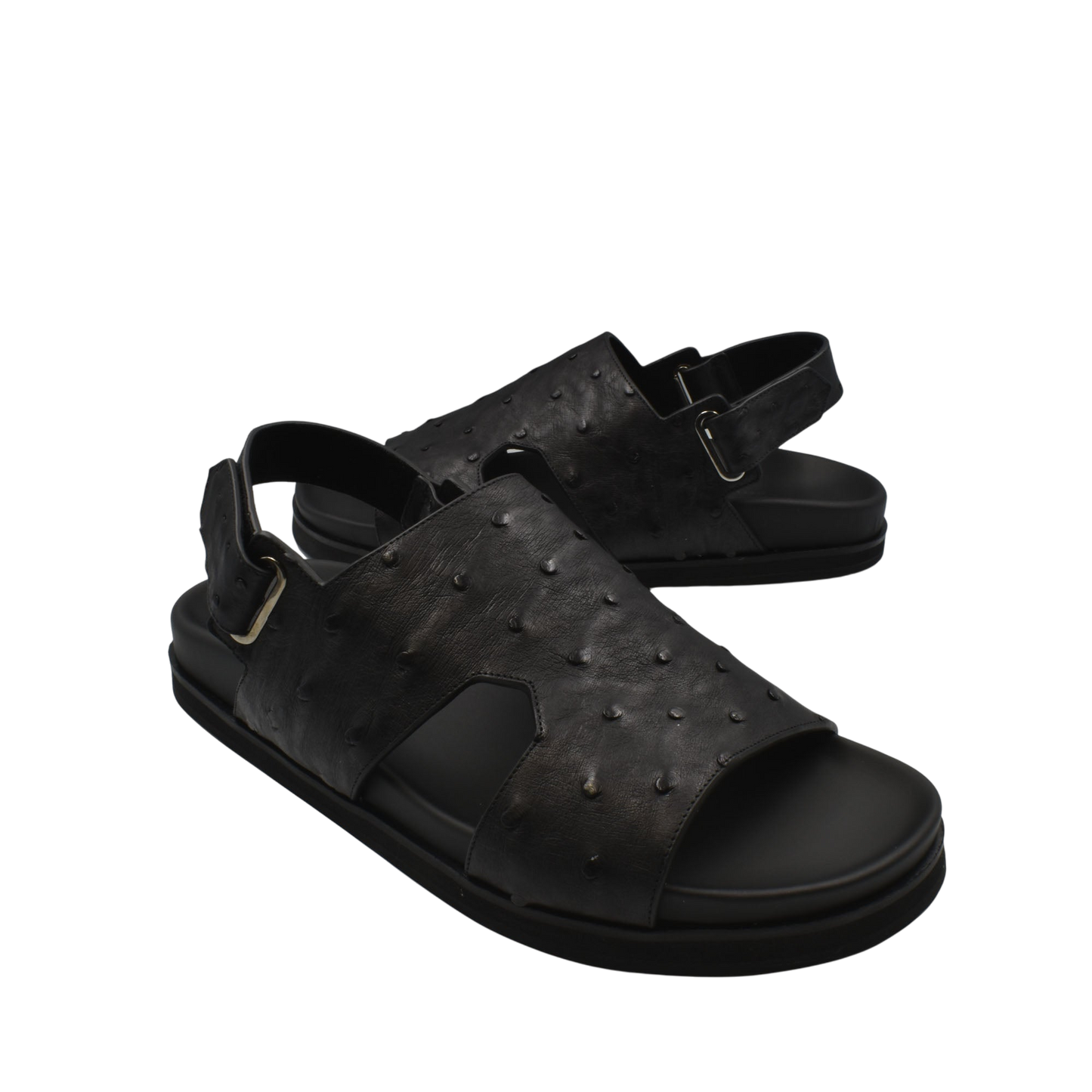 Amorti Sangle Ostrich