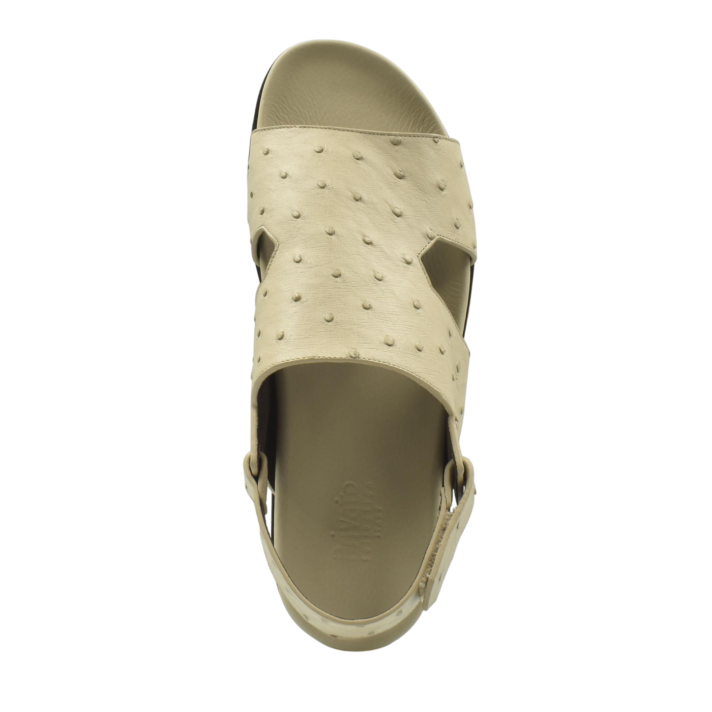 Amorti Sangle Ostrich