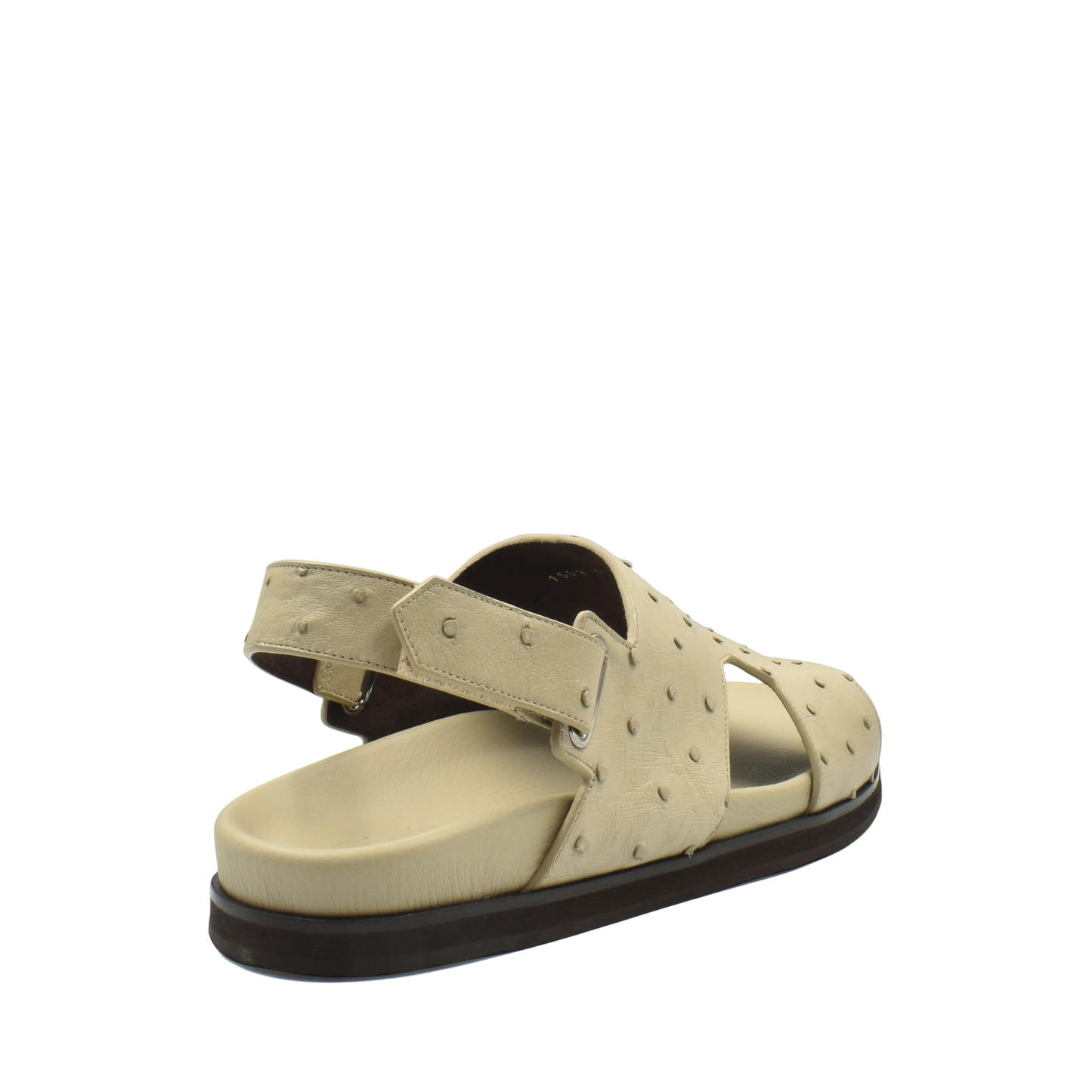Amorti Sangle Ostrich