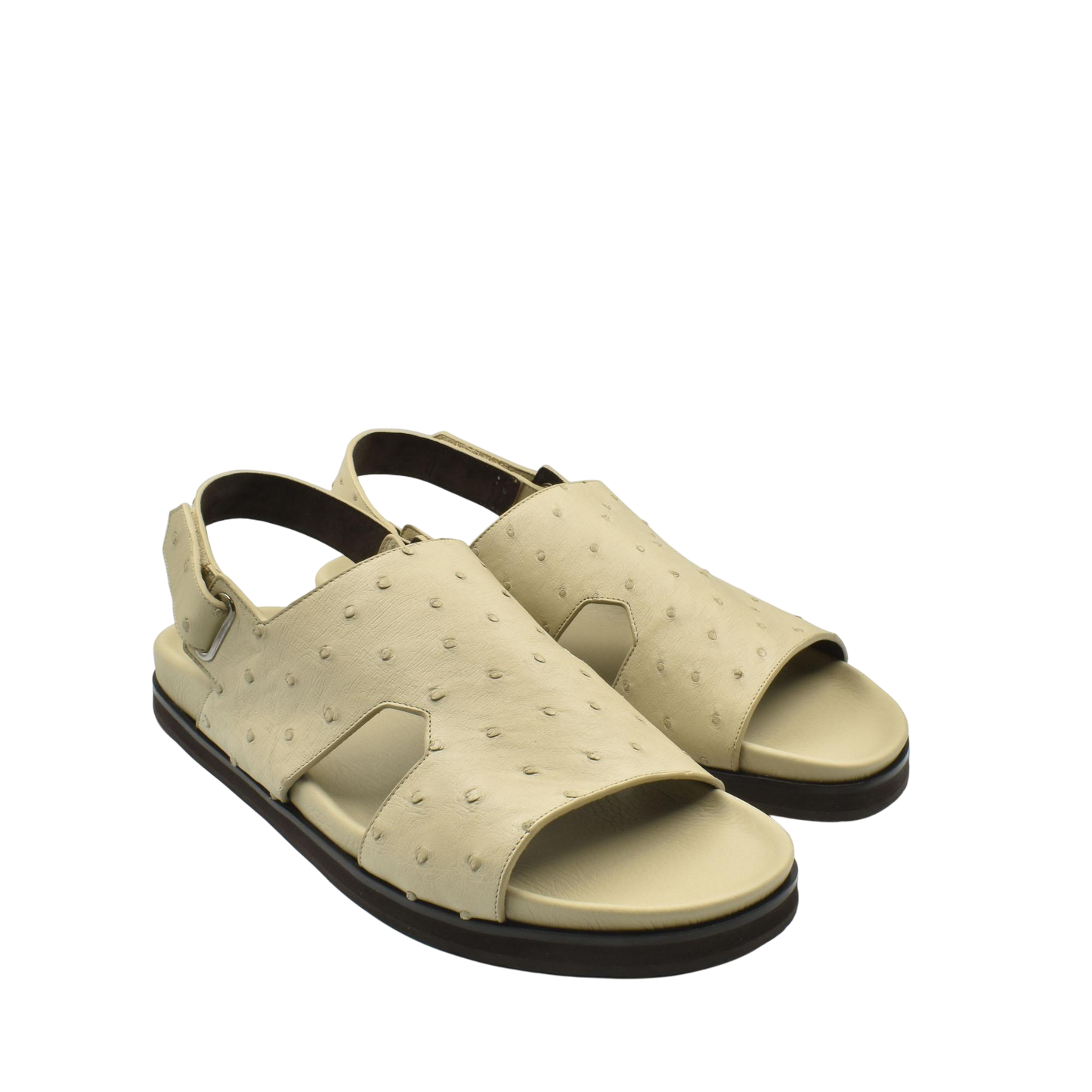 Amorti Sangle Ostrich