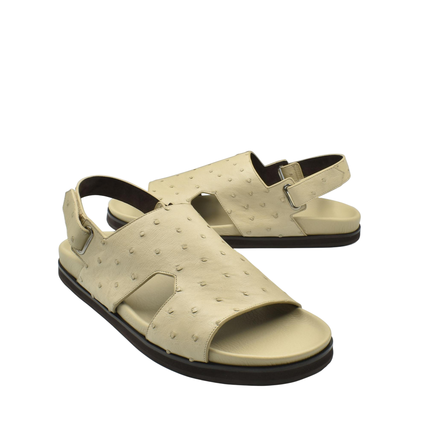 Amorti Sangle Ostrich