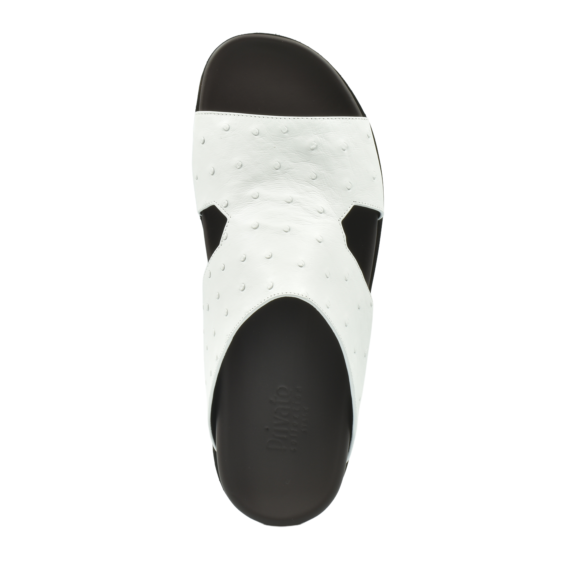 Amorti Arca Ostrich