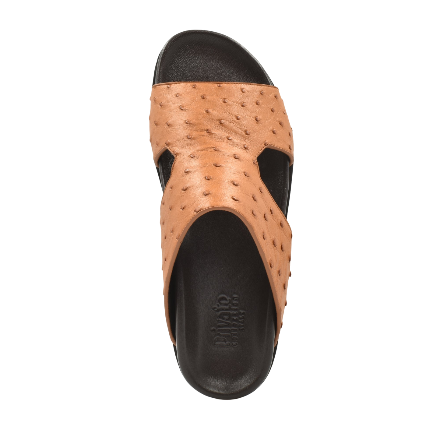 Amorti Arca Ostrich