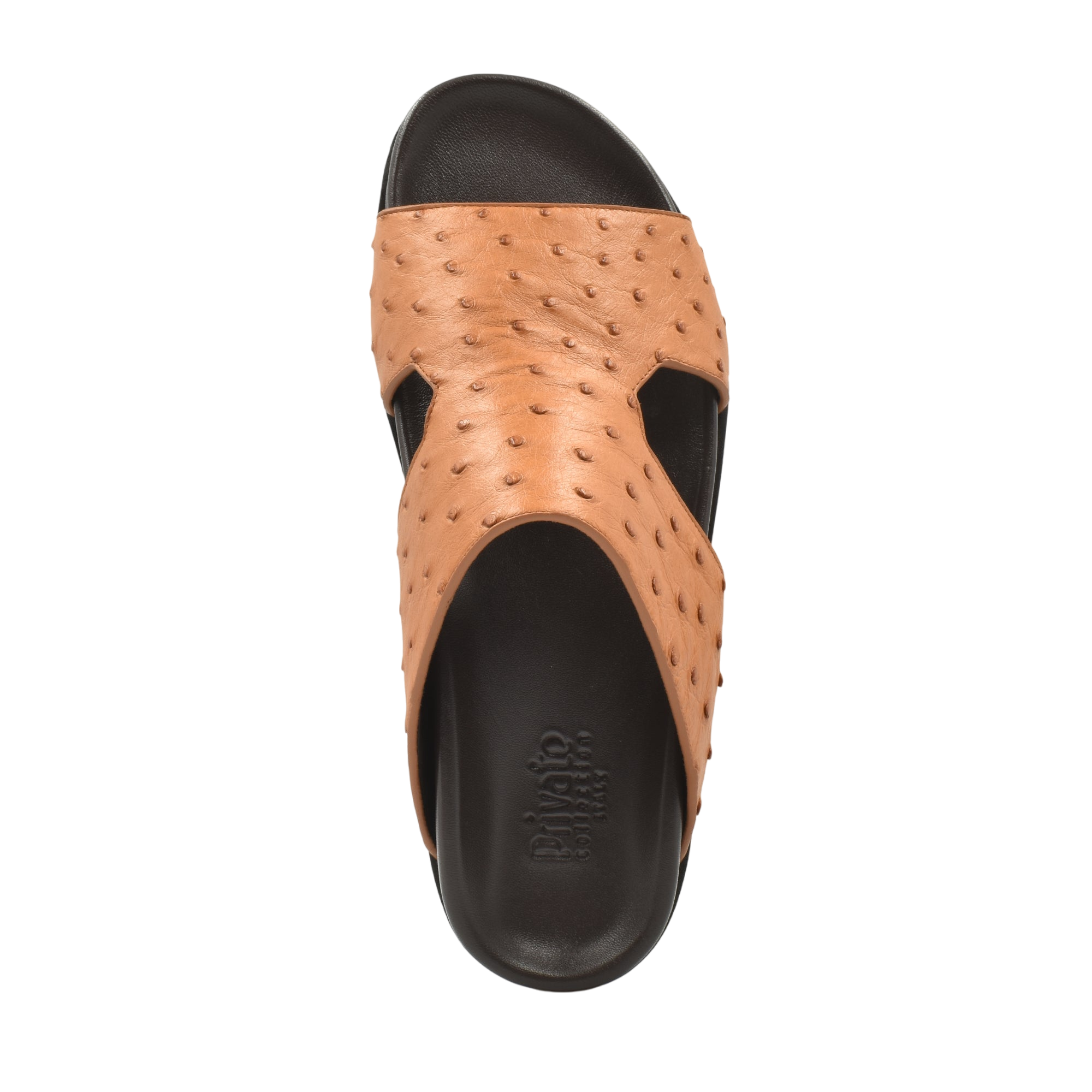 Amorti Arca Ostrich
