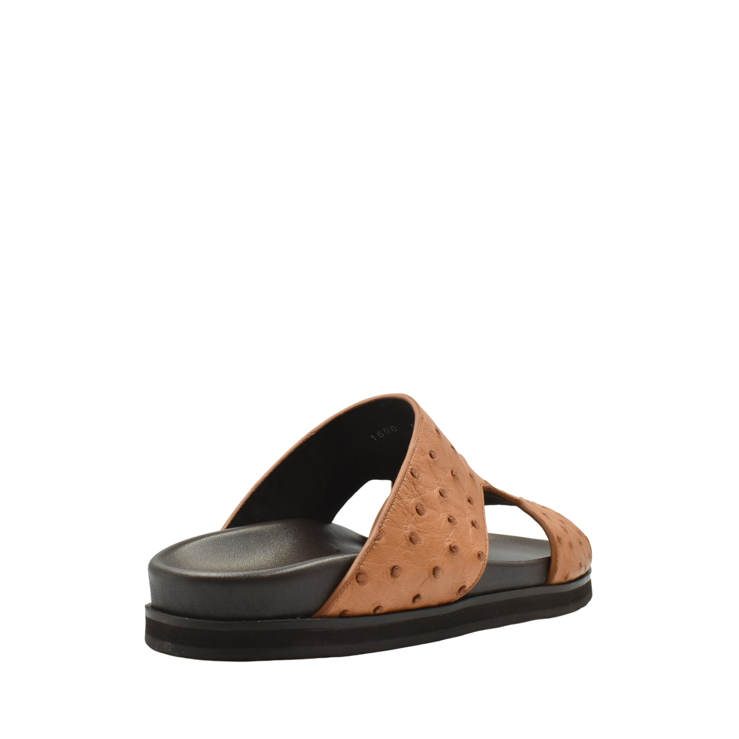 Amorti Arca Ostrich
