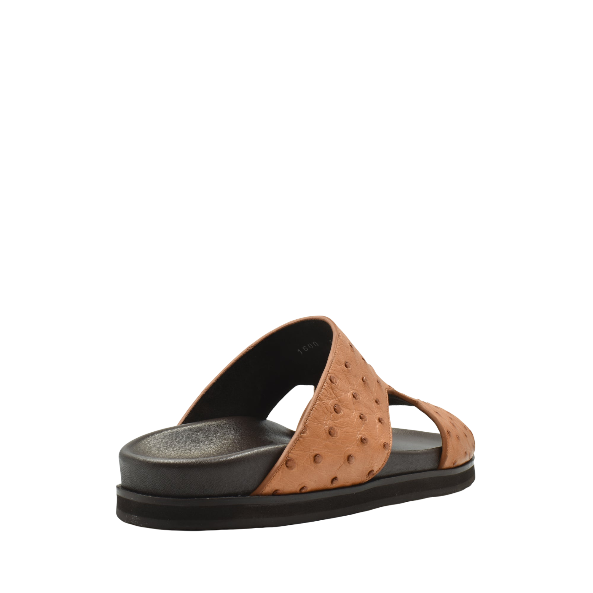 Amorti Arca Ostrich