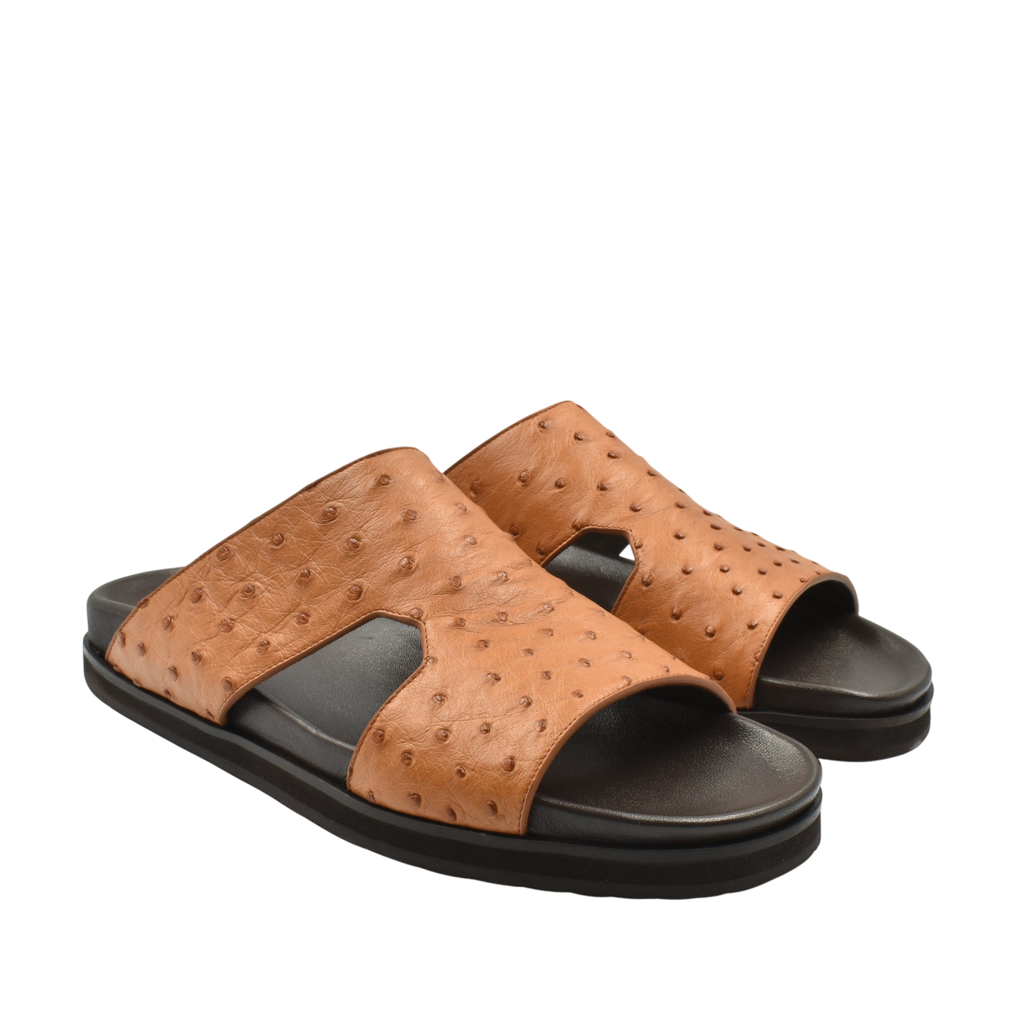 Amorti Arca Ostrich