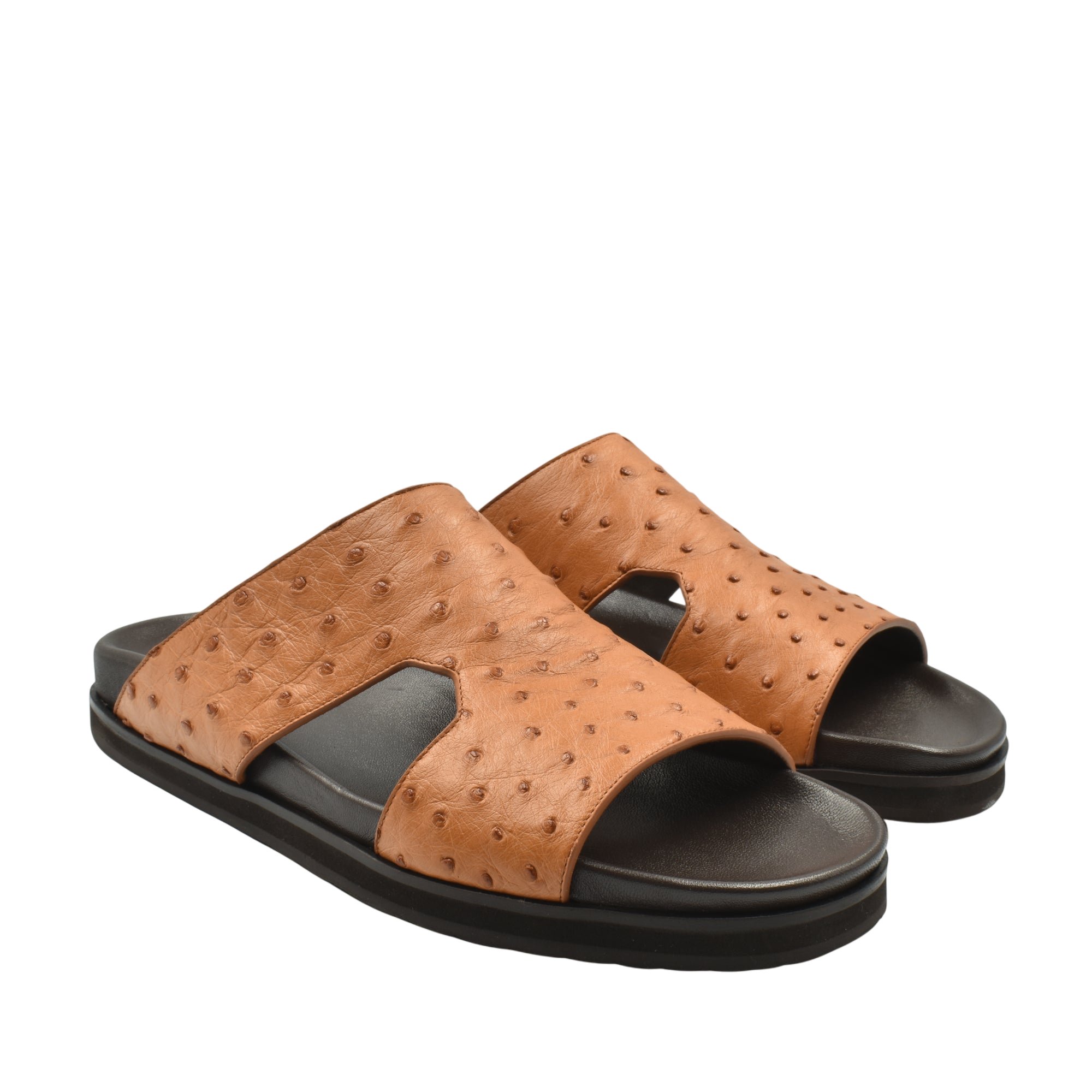 Amorti Arca Ostrich