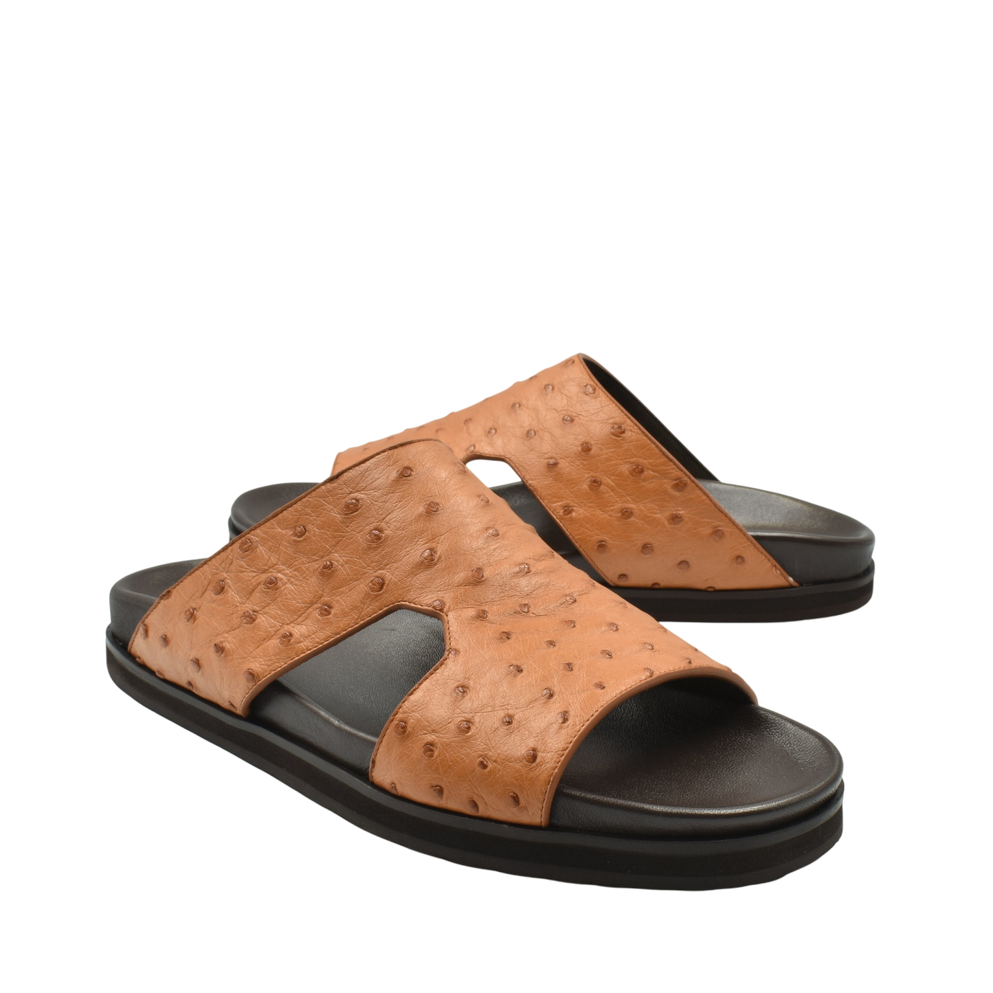 Amorti Arca Ostrich