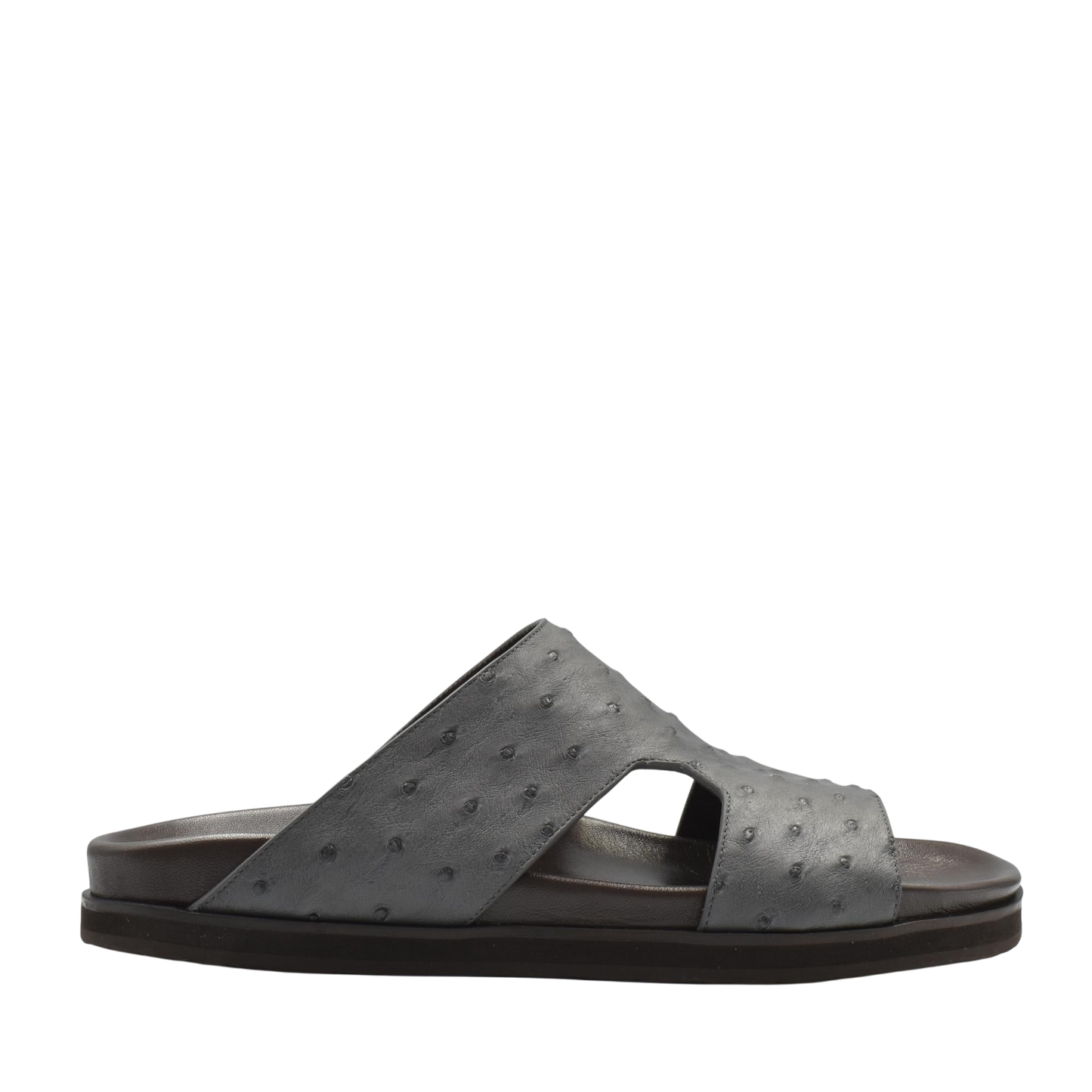 Amorti Arca Ostrich