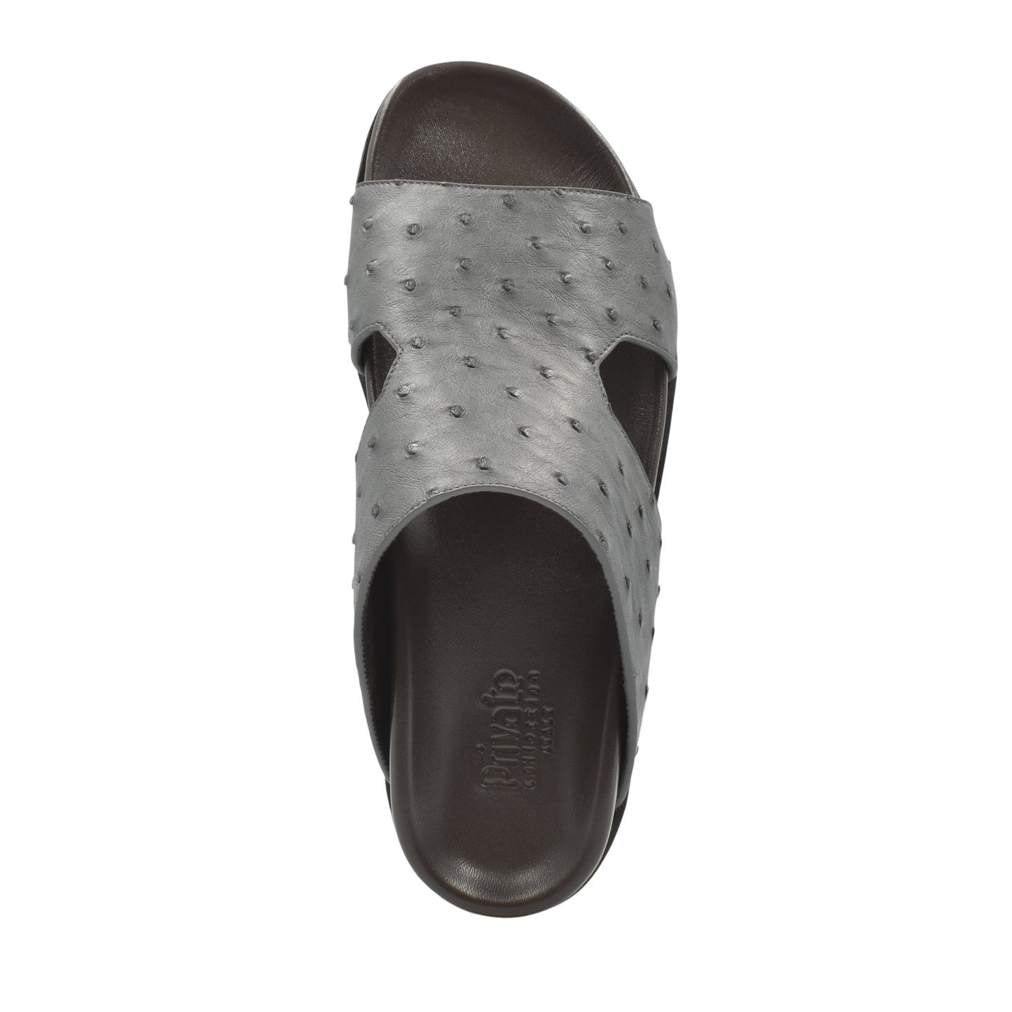 Amorti Arca Ostrich
