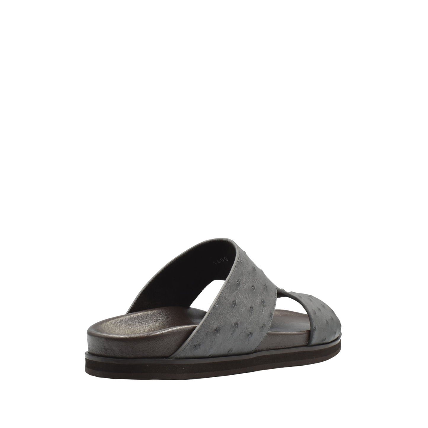 Amorti Arca Ostrich
