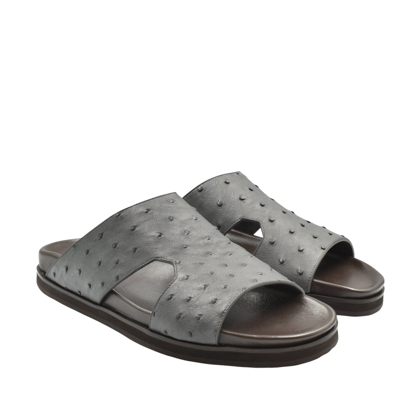 Amorti Arca Ostrich