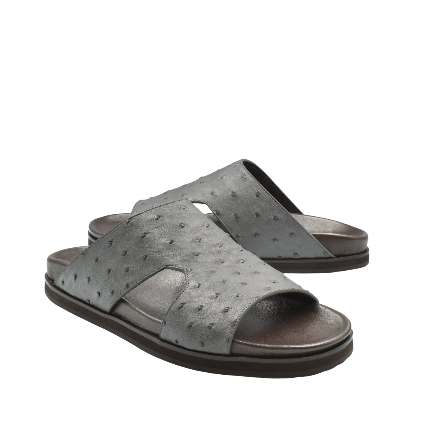 Amorti Arca Ostrich