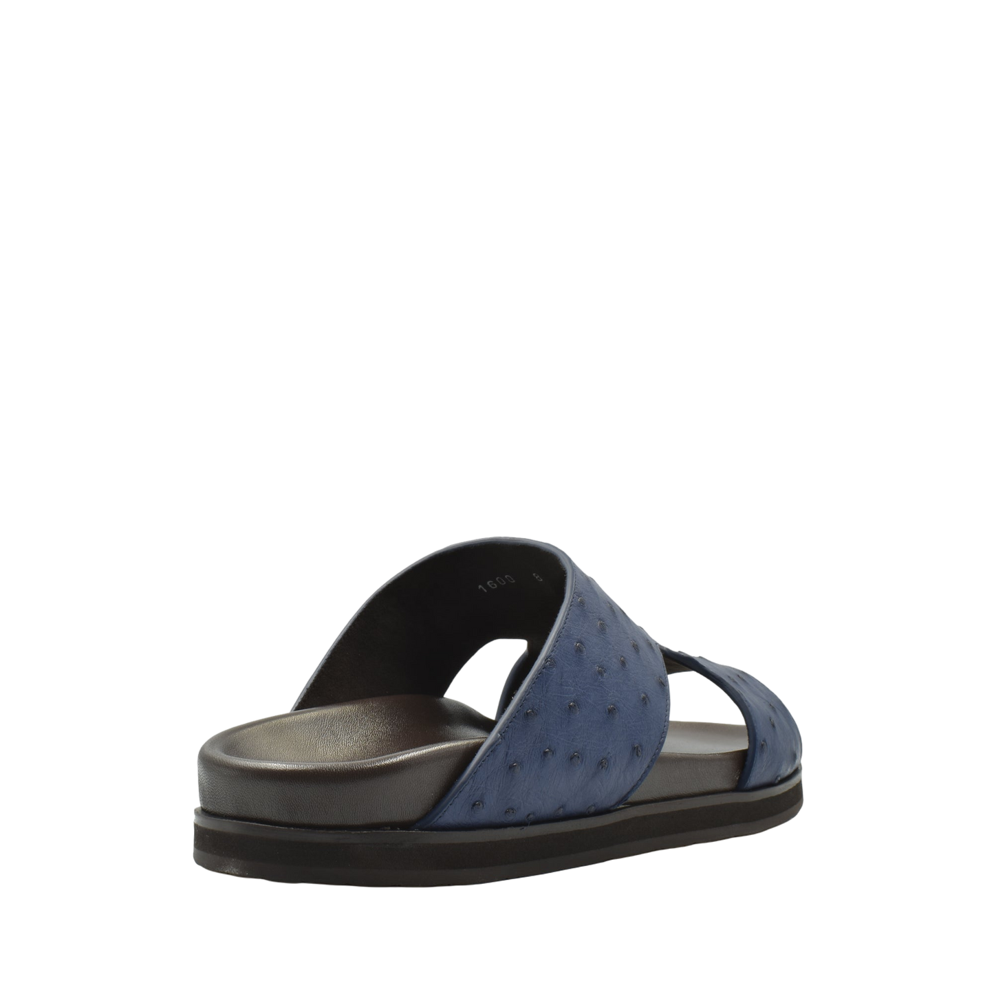 Amorti Arca Ostrich