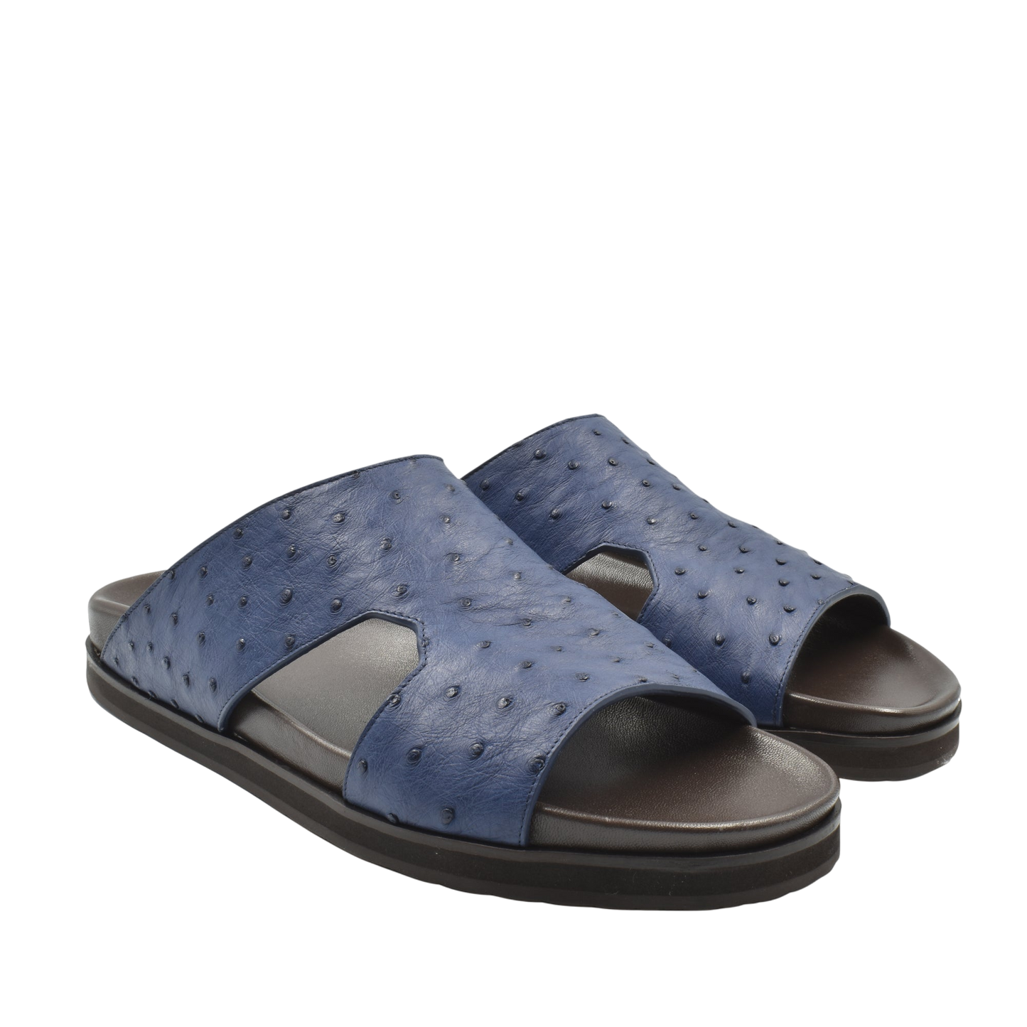 Amorti Arca Ostrich