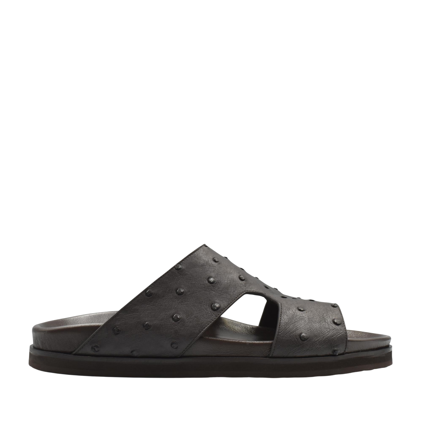Amorti Arca Ostrich