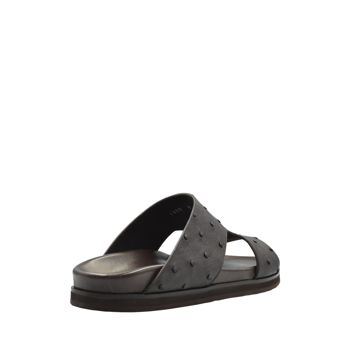 Amorti Arca Ostrich