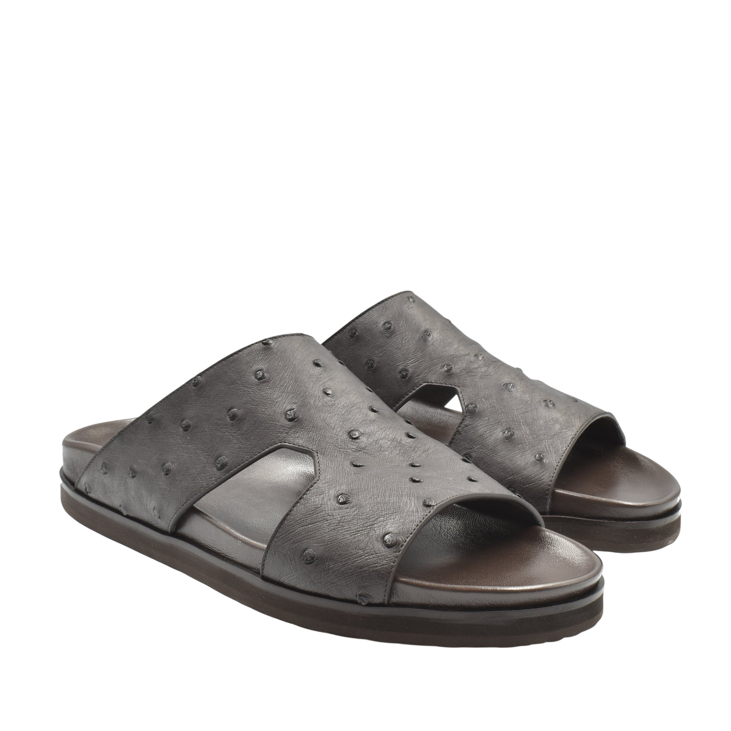 Amorti Arca Ostrich