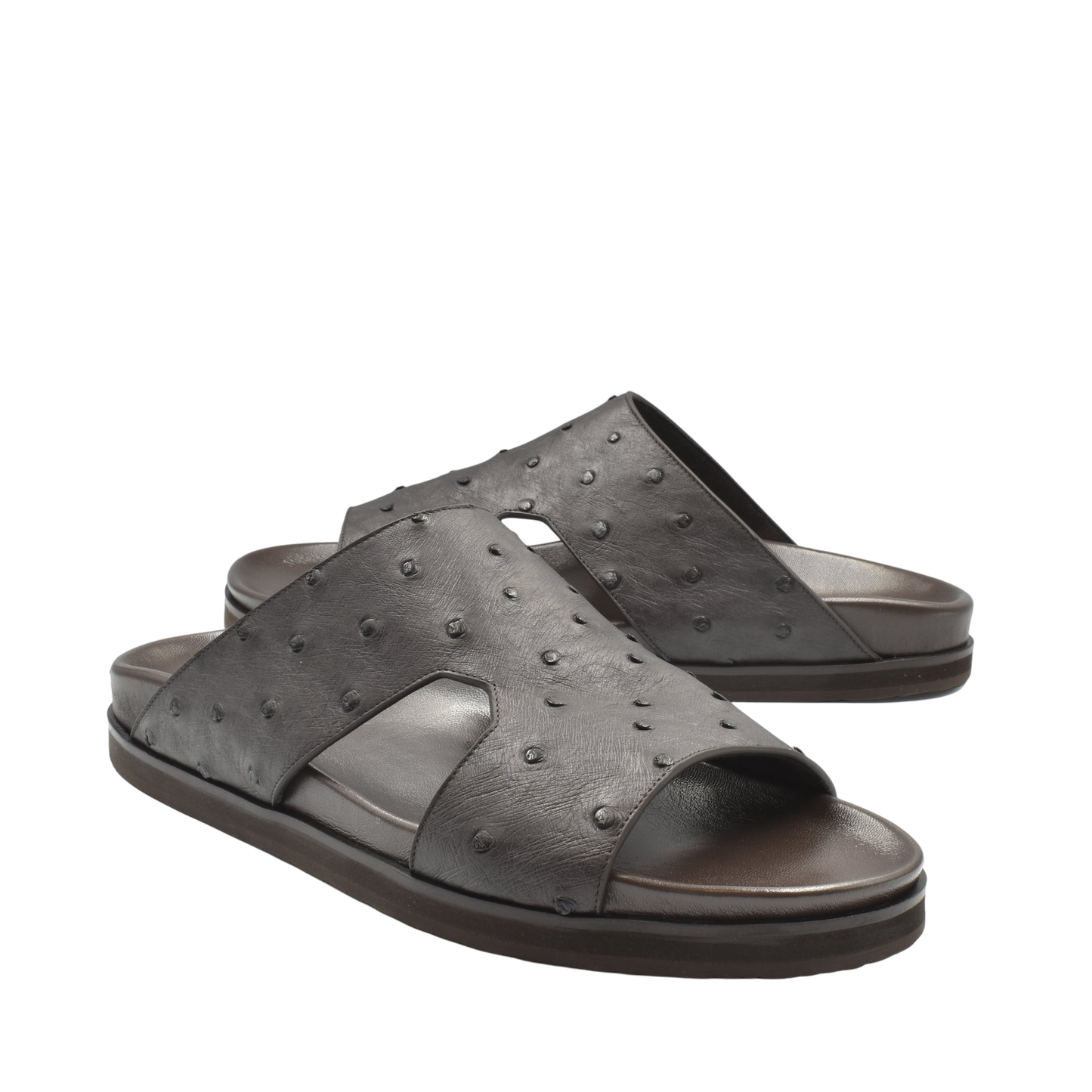 Amorti Arca Ostrich