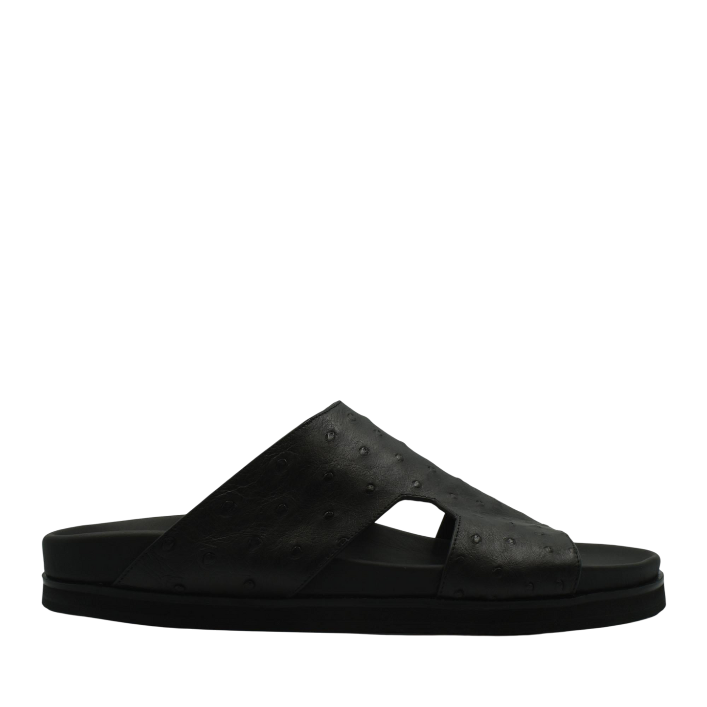 Amorti Arca Ostrich