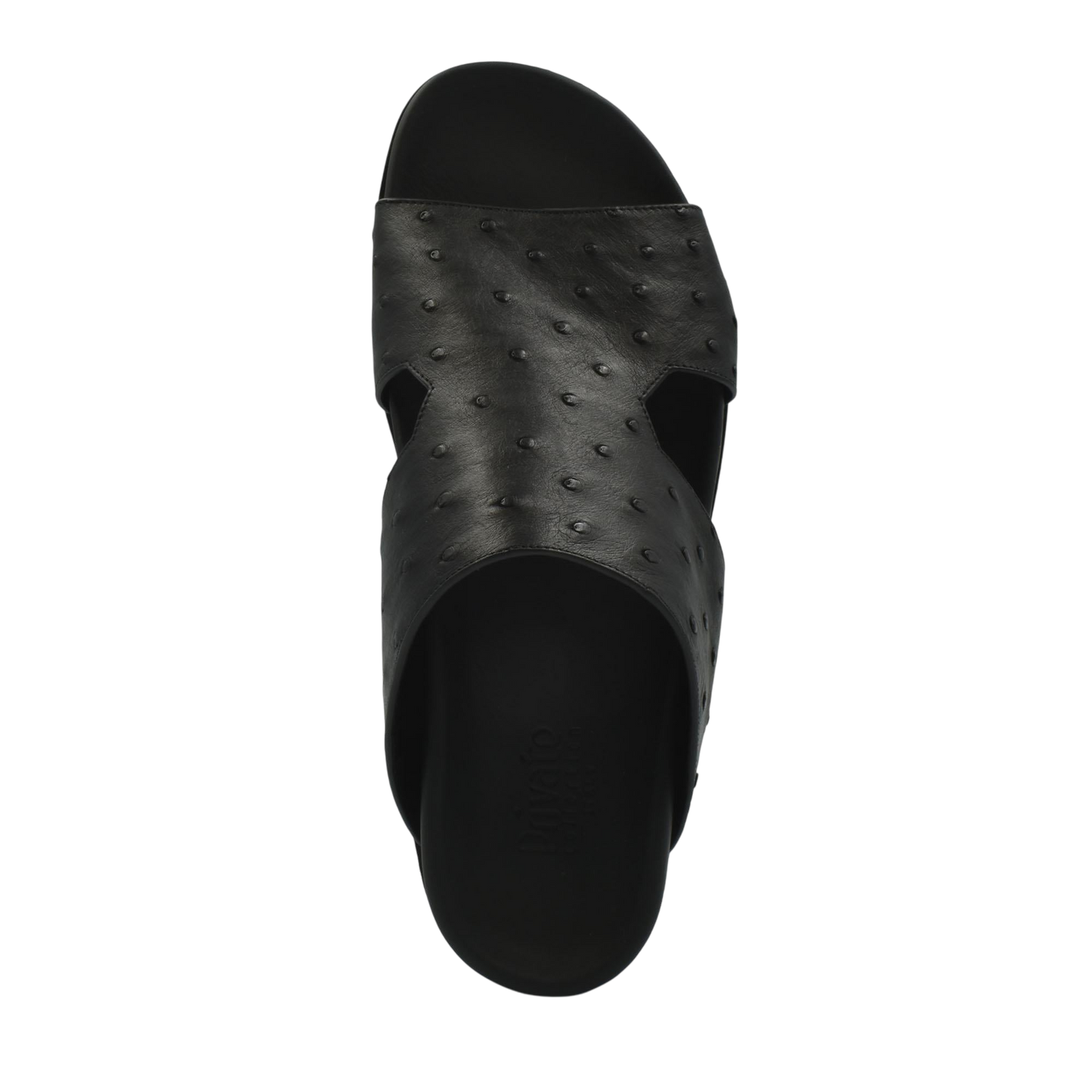 Amorti Arca Ostrich