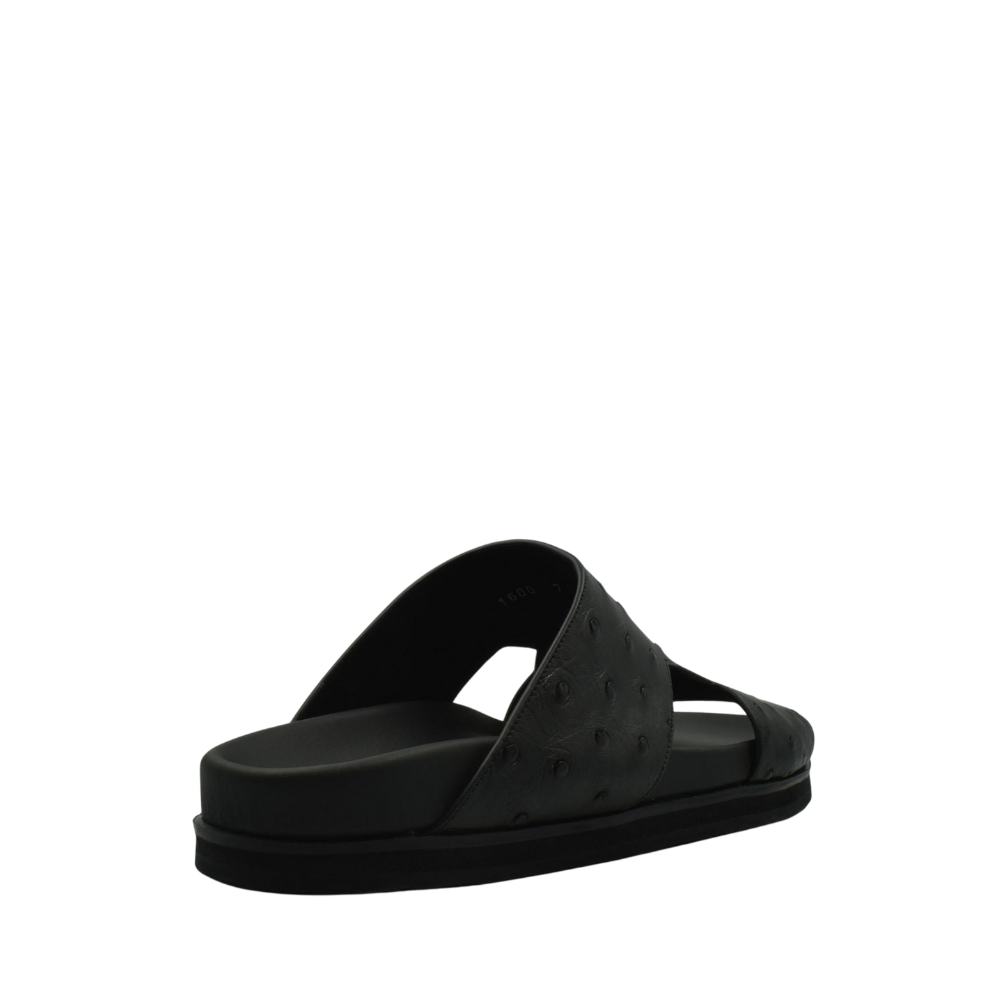 Amorti Arca Ostrich