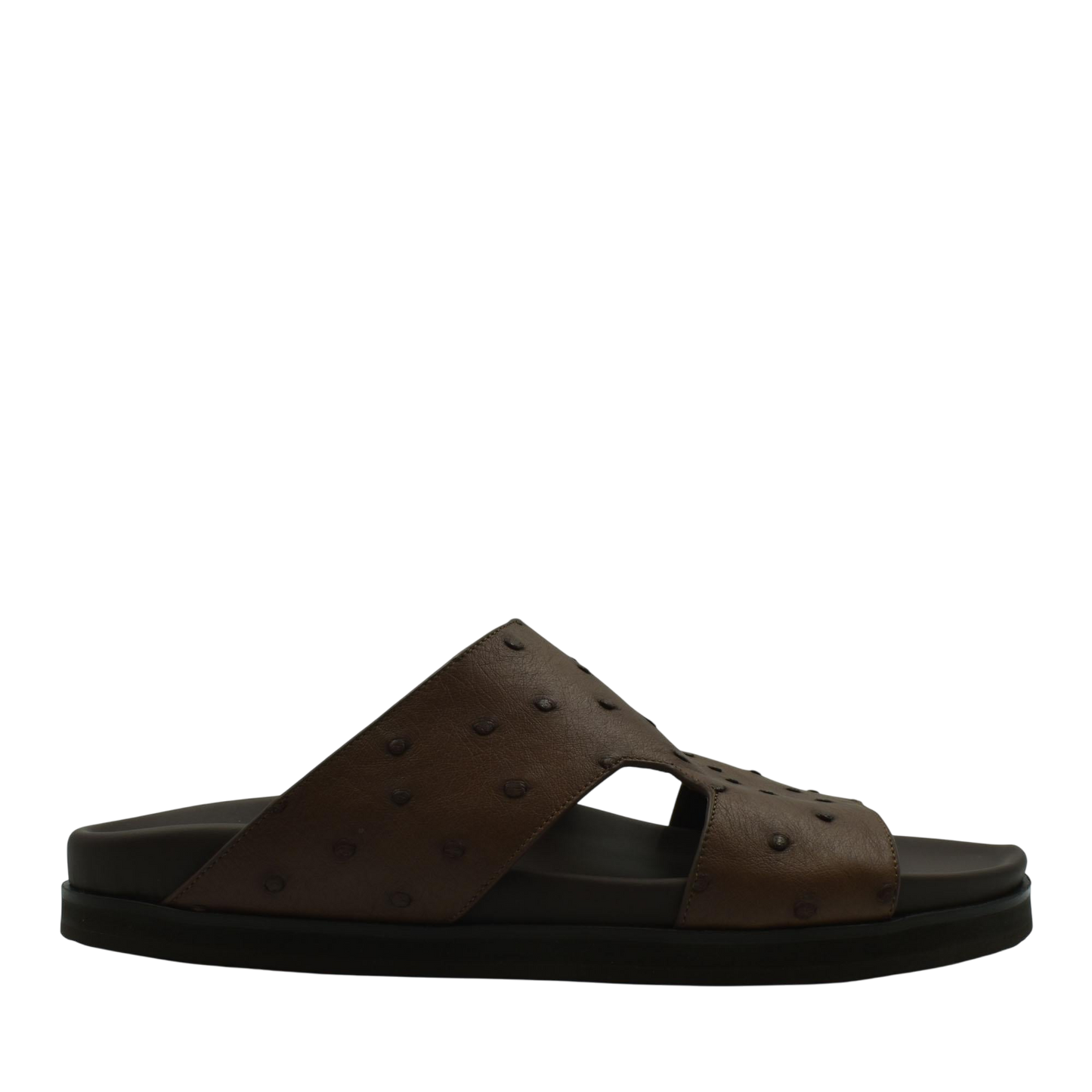 Amorti Arca Ostrich
