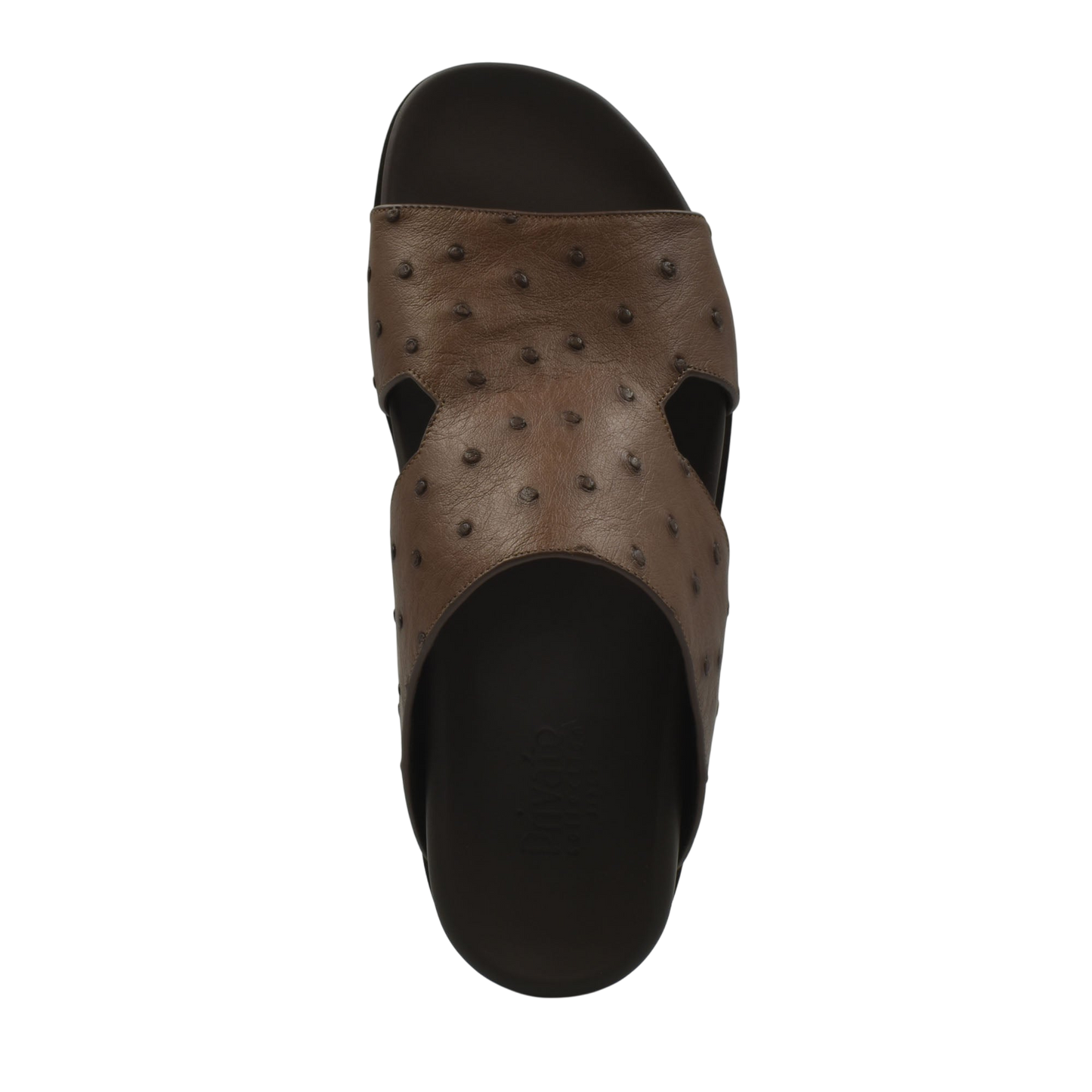 Amorti Arca Ostrich