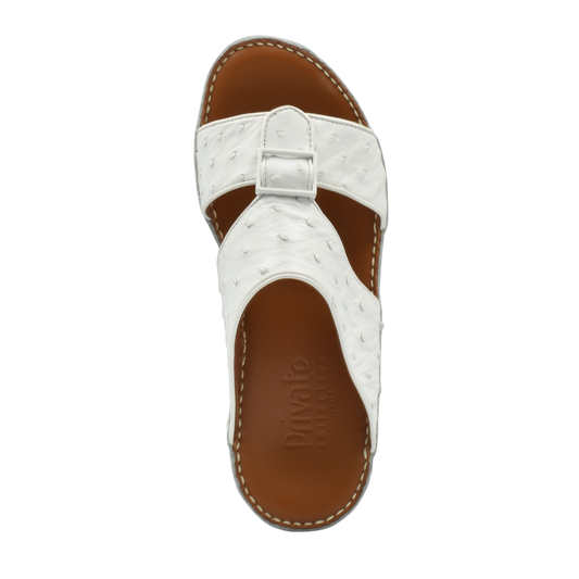 Quadratura Classica Ostrich