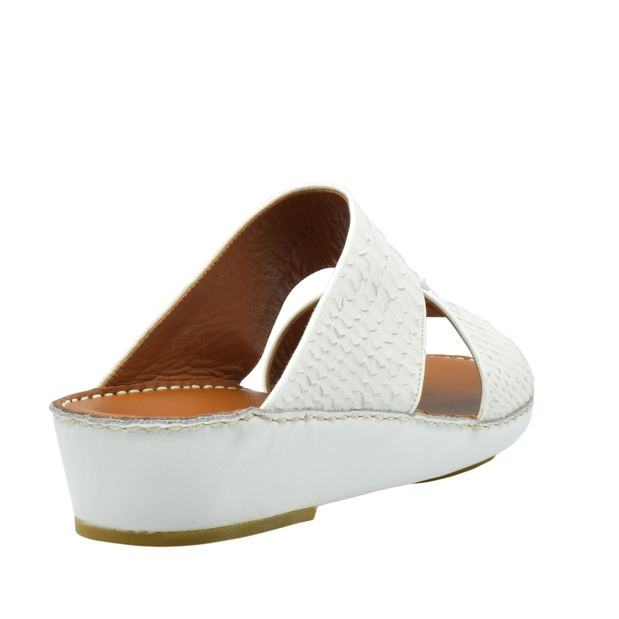 Manetta Python