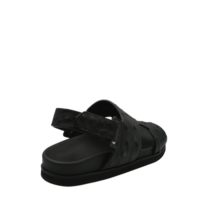 Amorti Sangle Ostrich