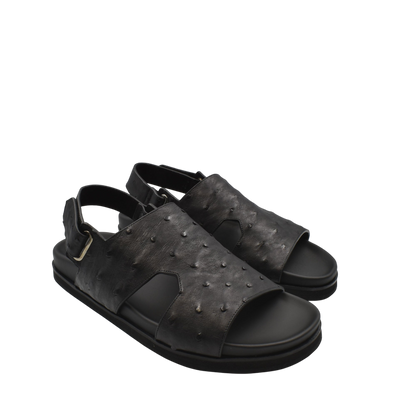 Amorti Sangle Ostrich