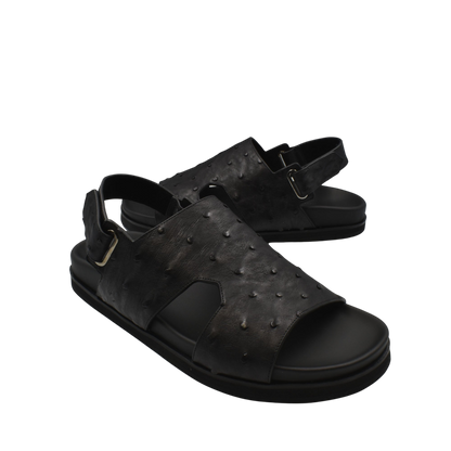 Amorti Sangle Ostrich