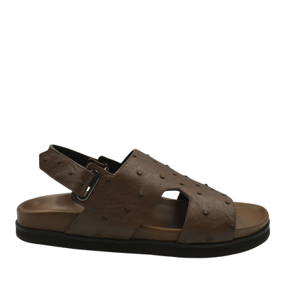 Amorti Sangle Ostrich