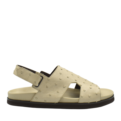 Amorti Sangle Ostrich