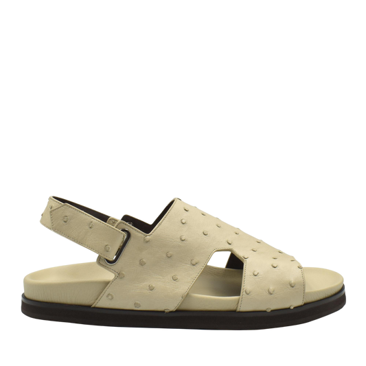 Amorti Sangle Ostrich