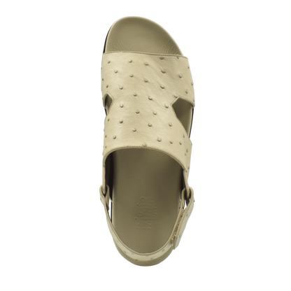 Amorti Sangle Ostrich