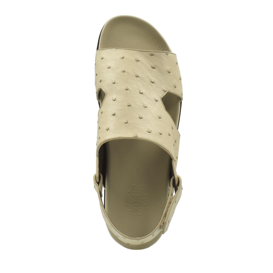 Amorti Sangle Ostrich