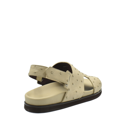 Amorti Sangle Ostrich
