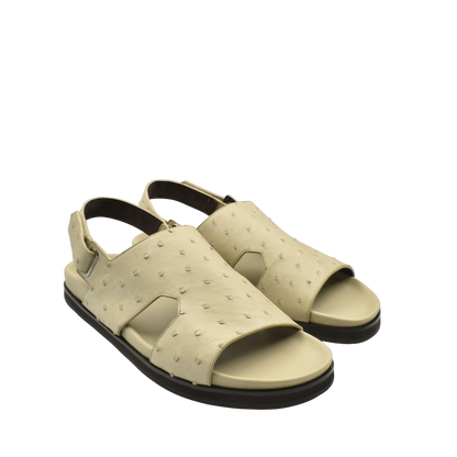 Amorti Sangle Ostrich