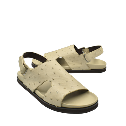 Amorti Sangle Ostrich