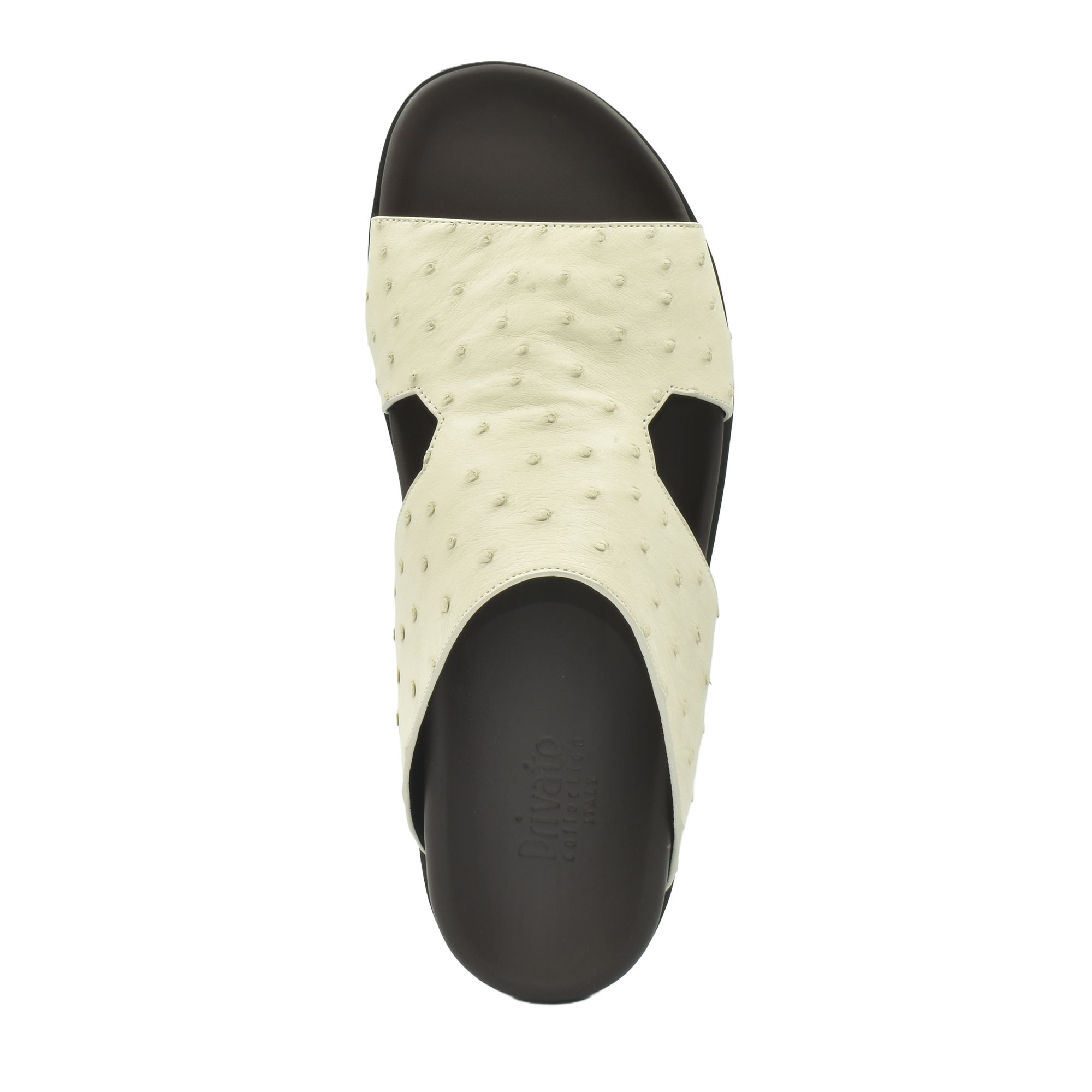 Amorti Arca Ostrich