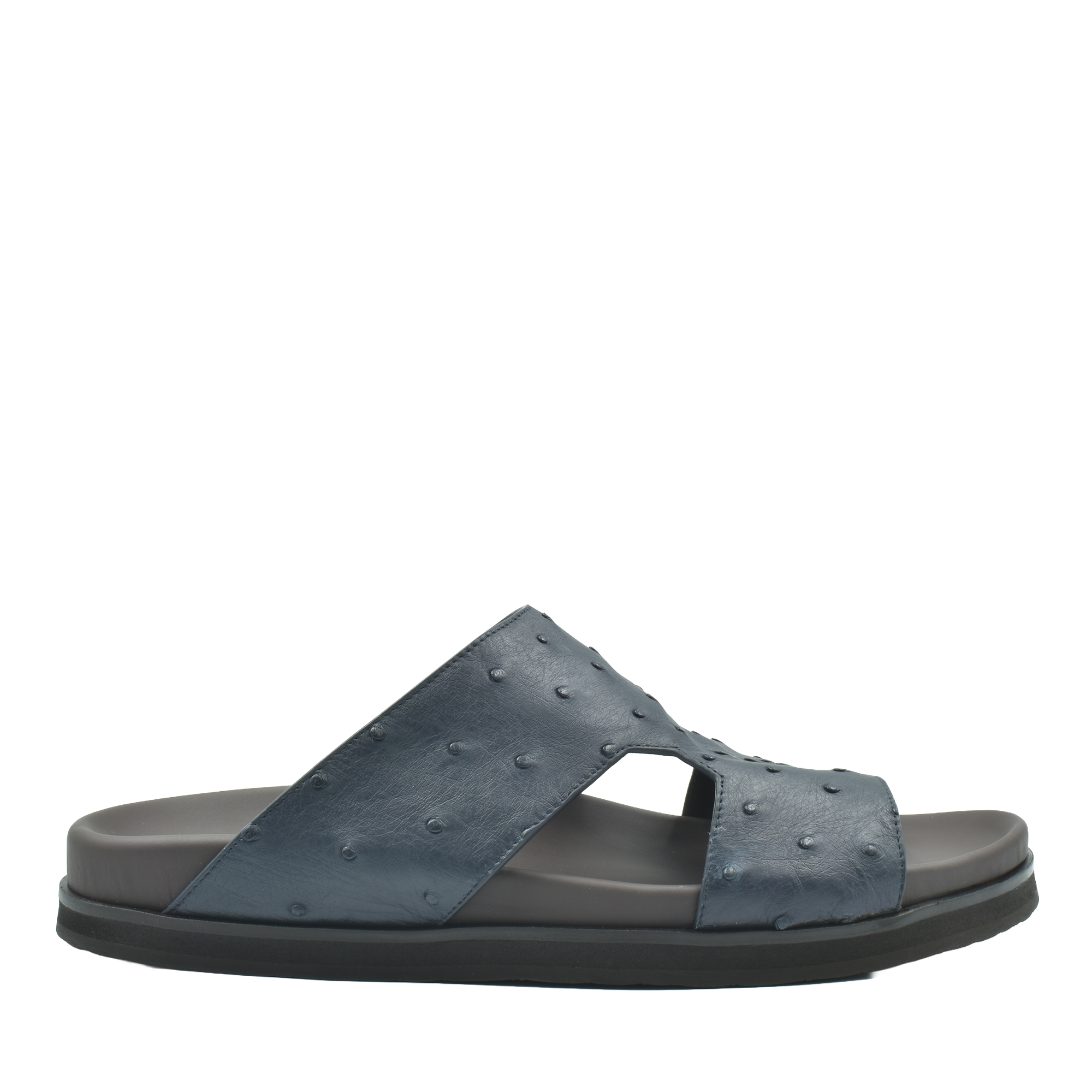 Amorti Arca Ostrich