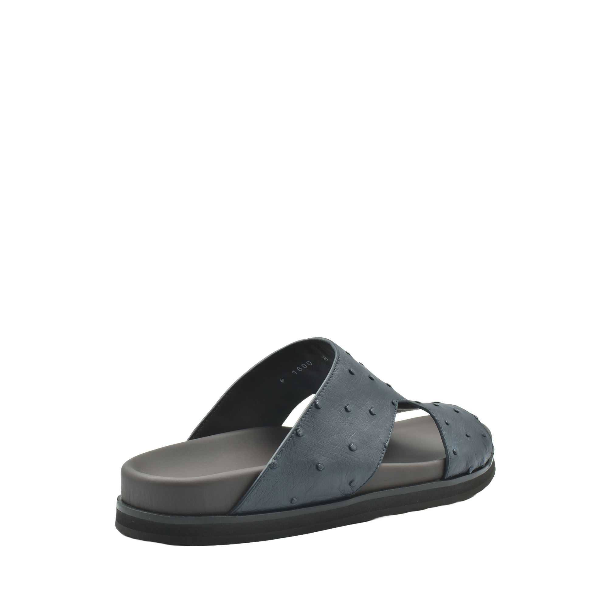 Amorti Arca Ostrich
