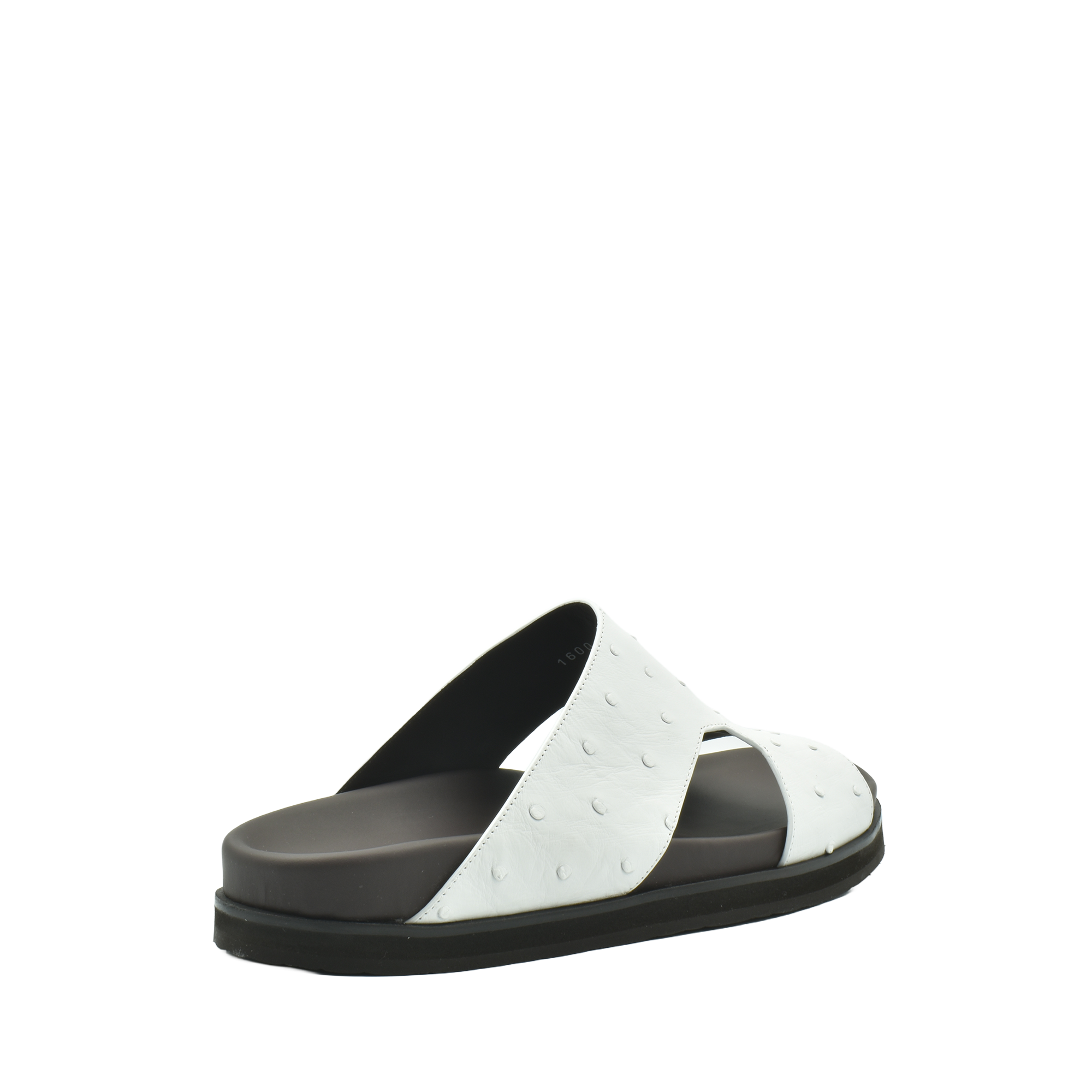 Amorti Arca Ostrich