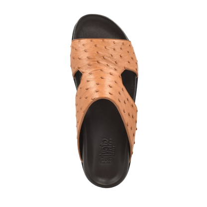 Amorti Arca Ostrich